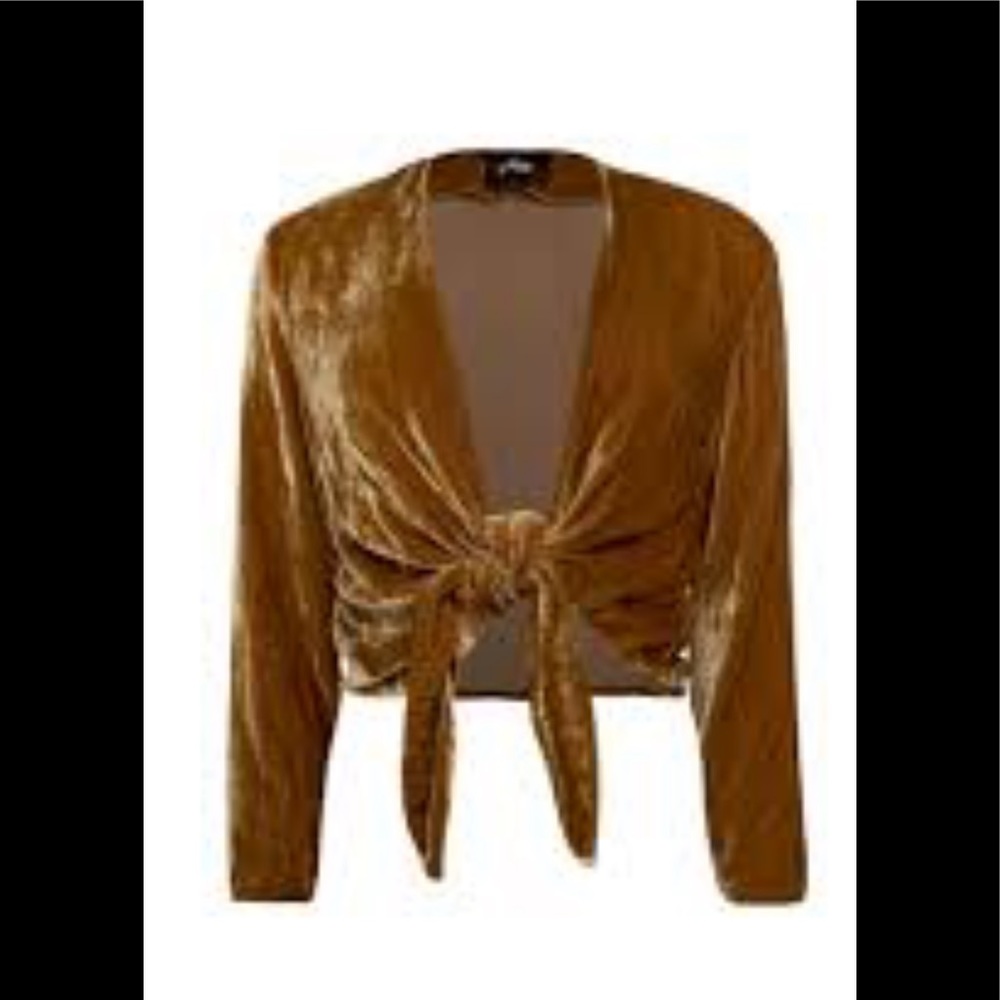 Reformation Golden velvet  Tie Top